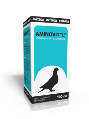201111031443-aminovitlv15v13dweb.png