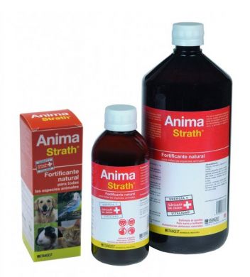ANIMA_STRATH_2_OK1.jpg